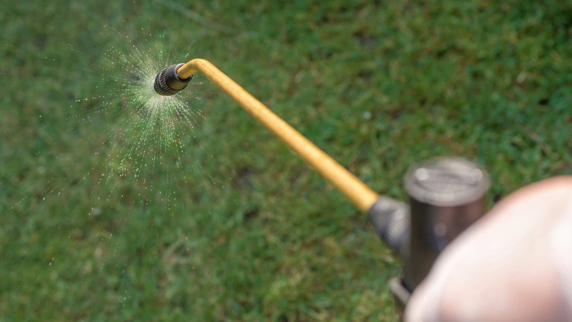 Person spraying water from a yellow garden hose onto grass outdoors