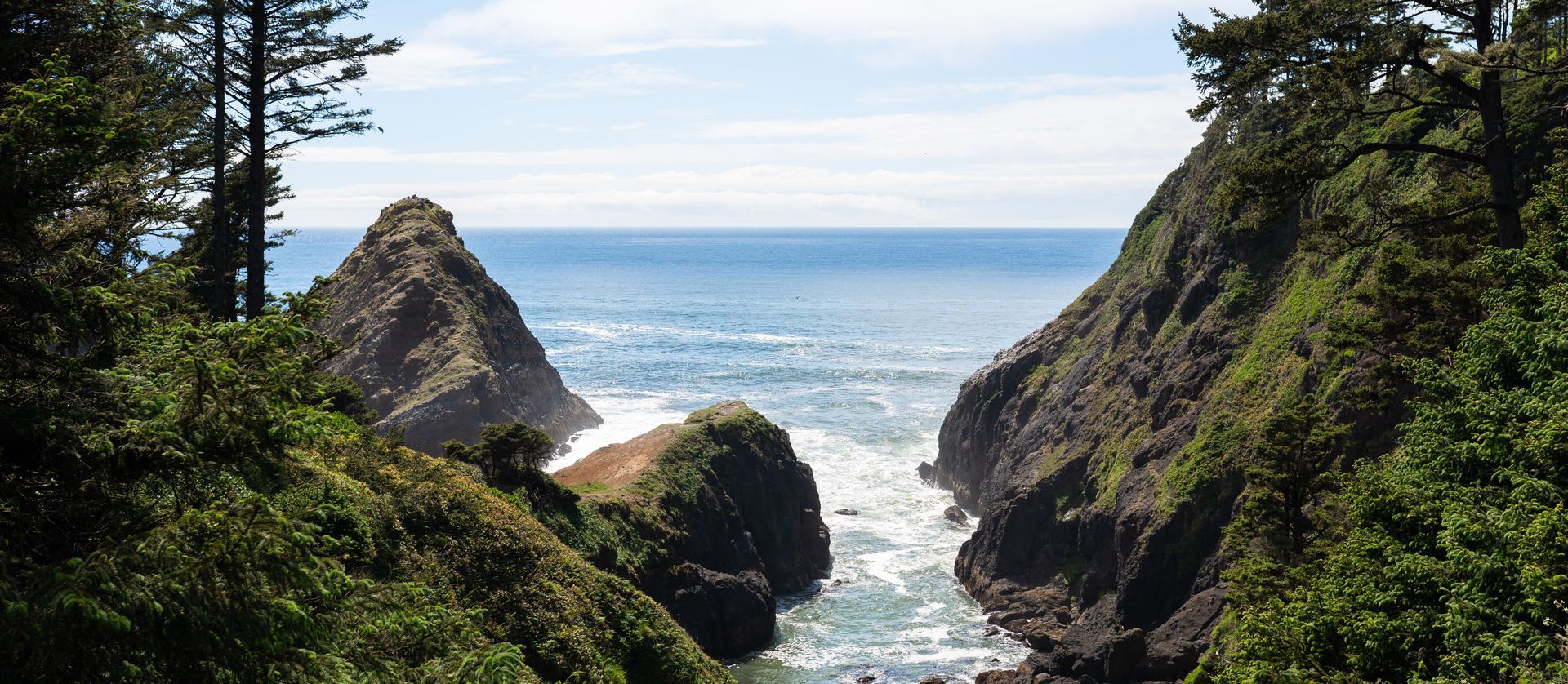 oregon forest meets the coast line