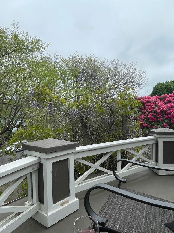 view from the portico