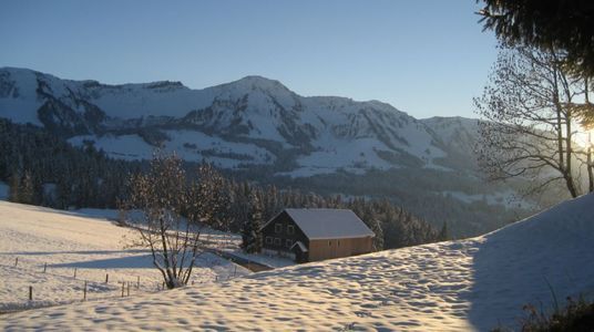 Winter