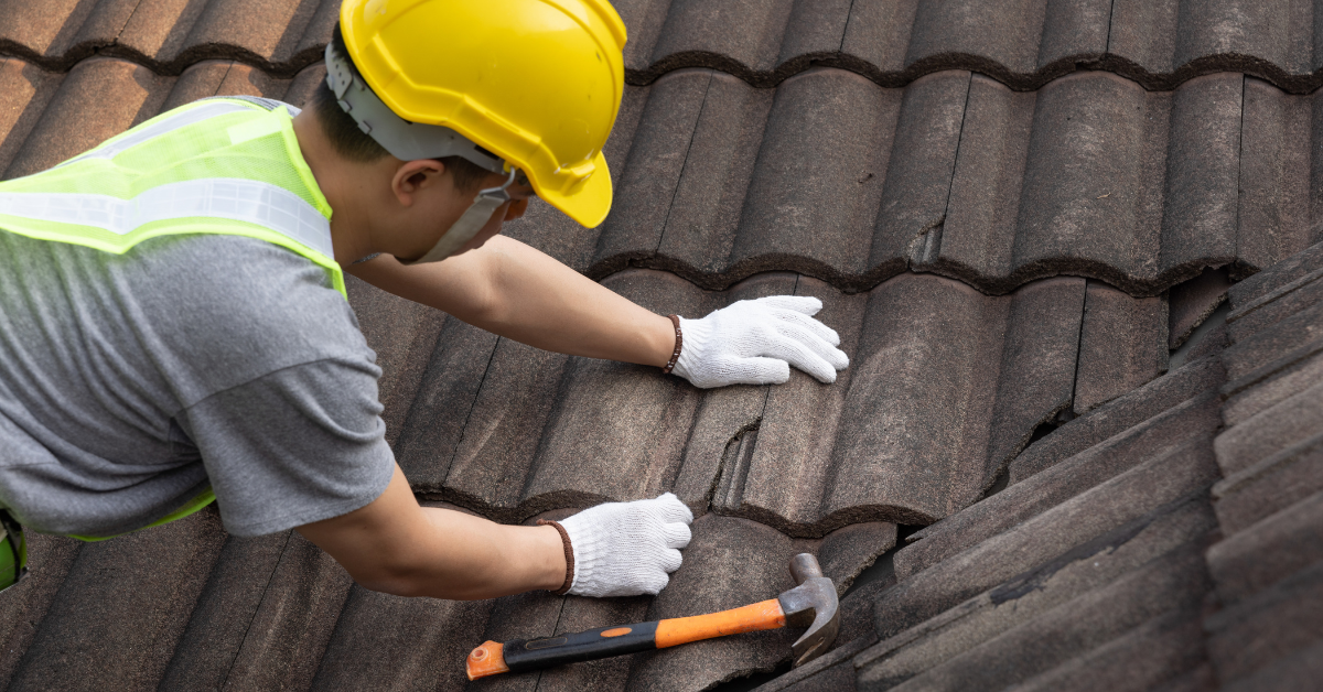 roof replacement cost