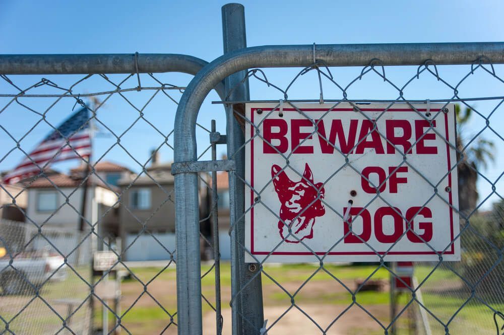 A beware of dog sign is hanging on a chain link fence.