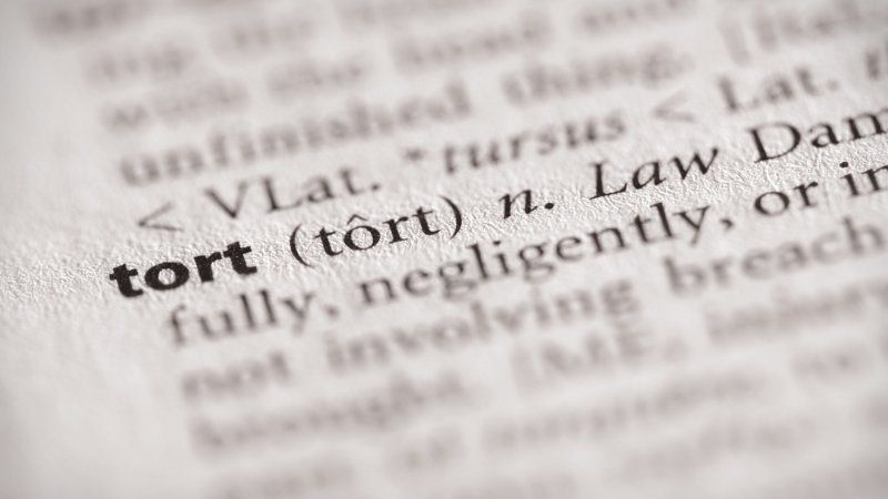 A close up of a dictionary page with the word tort on it.