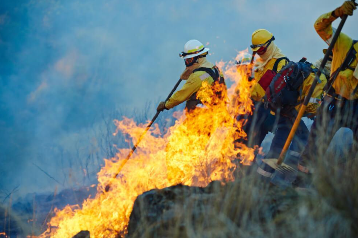 A group of firefighters are standing next to a large fire.