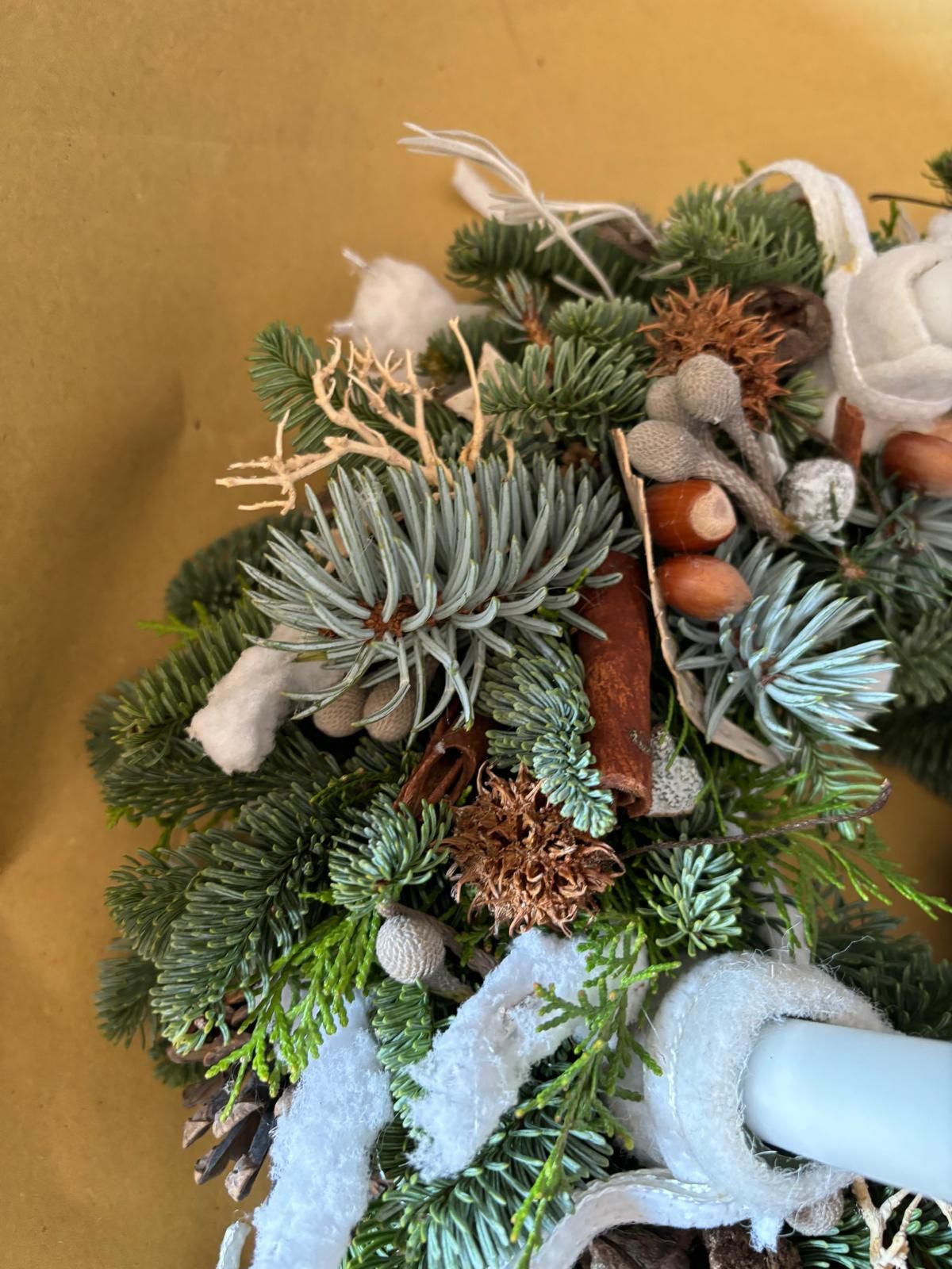 REGALO
