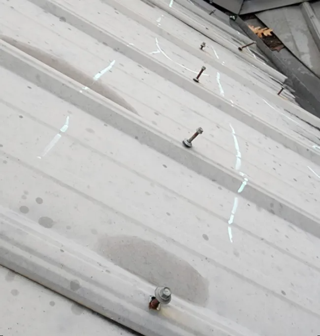 Angled view of a white metal roof with visible fasteners securing panels, showing slight weathering and spots.