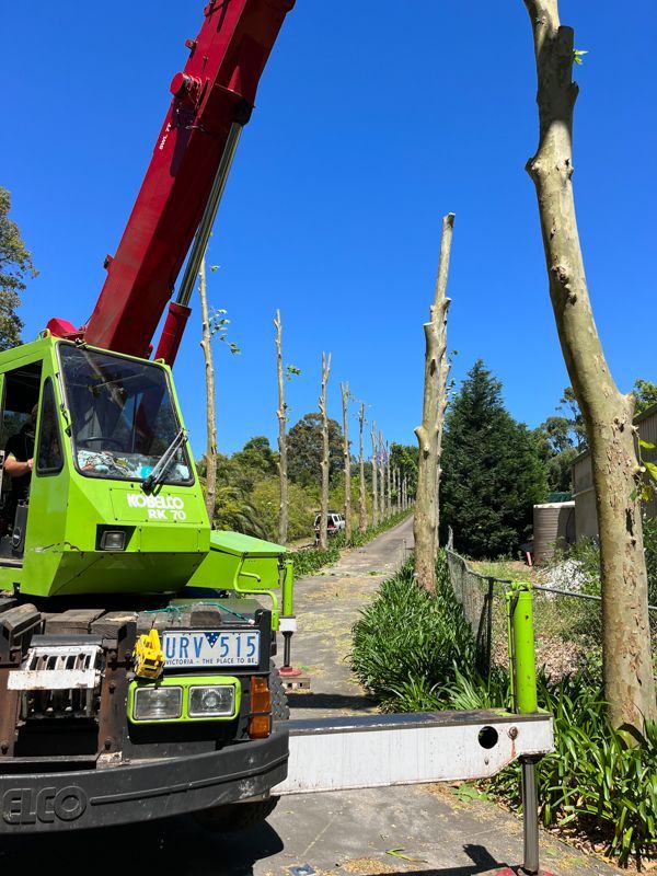 Gardening services