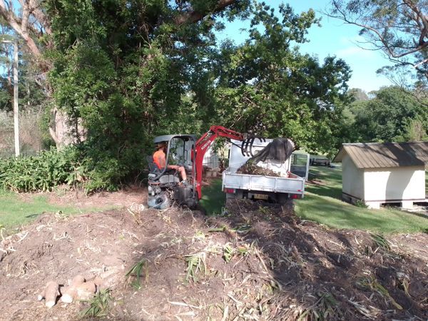 Land clearing