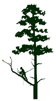 Skinnys logo