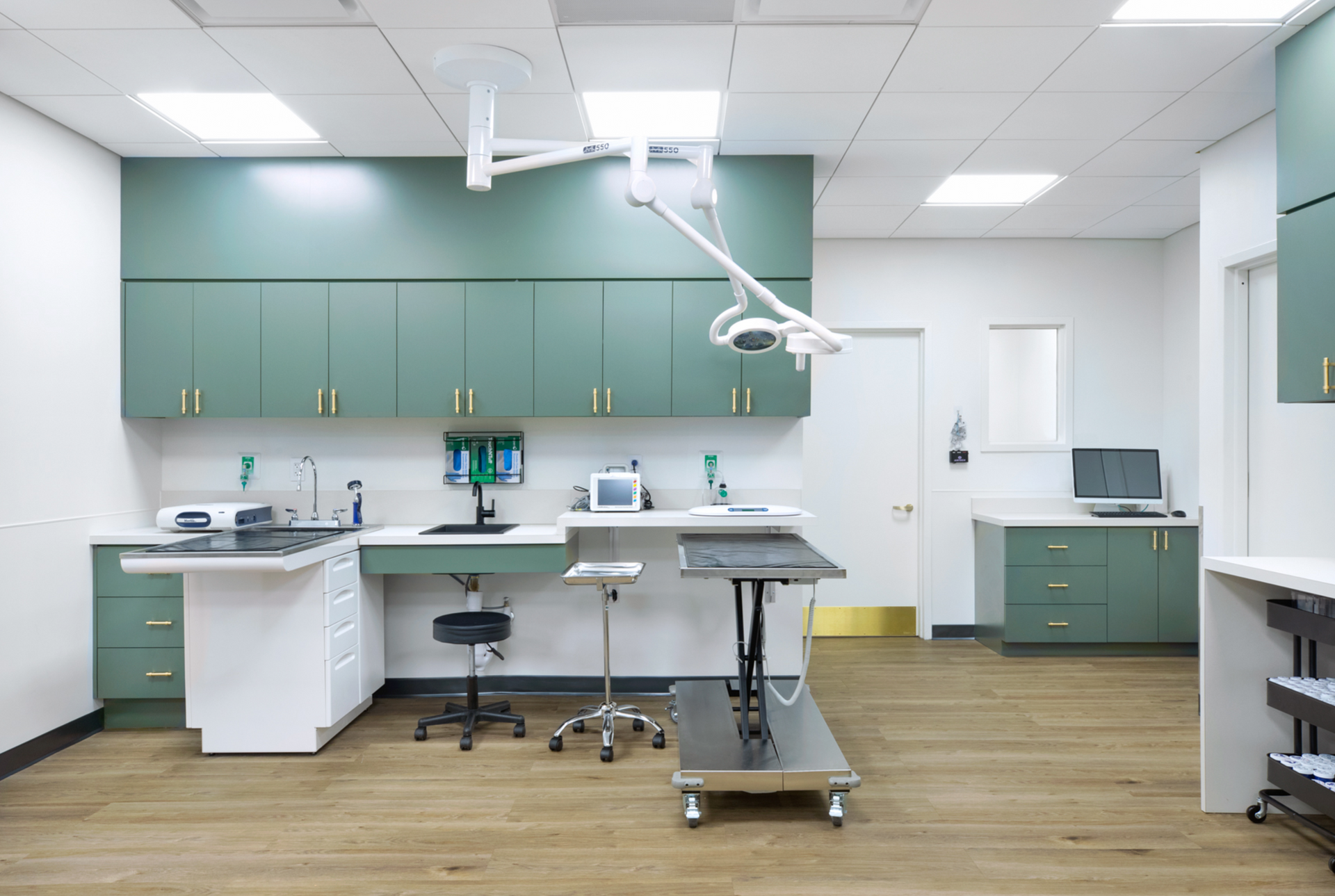 a veterinary operating room with green cabinets and a surgical light .