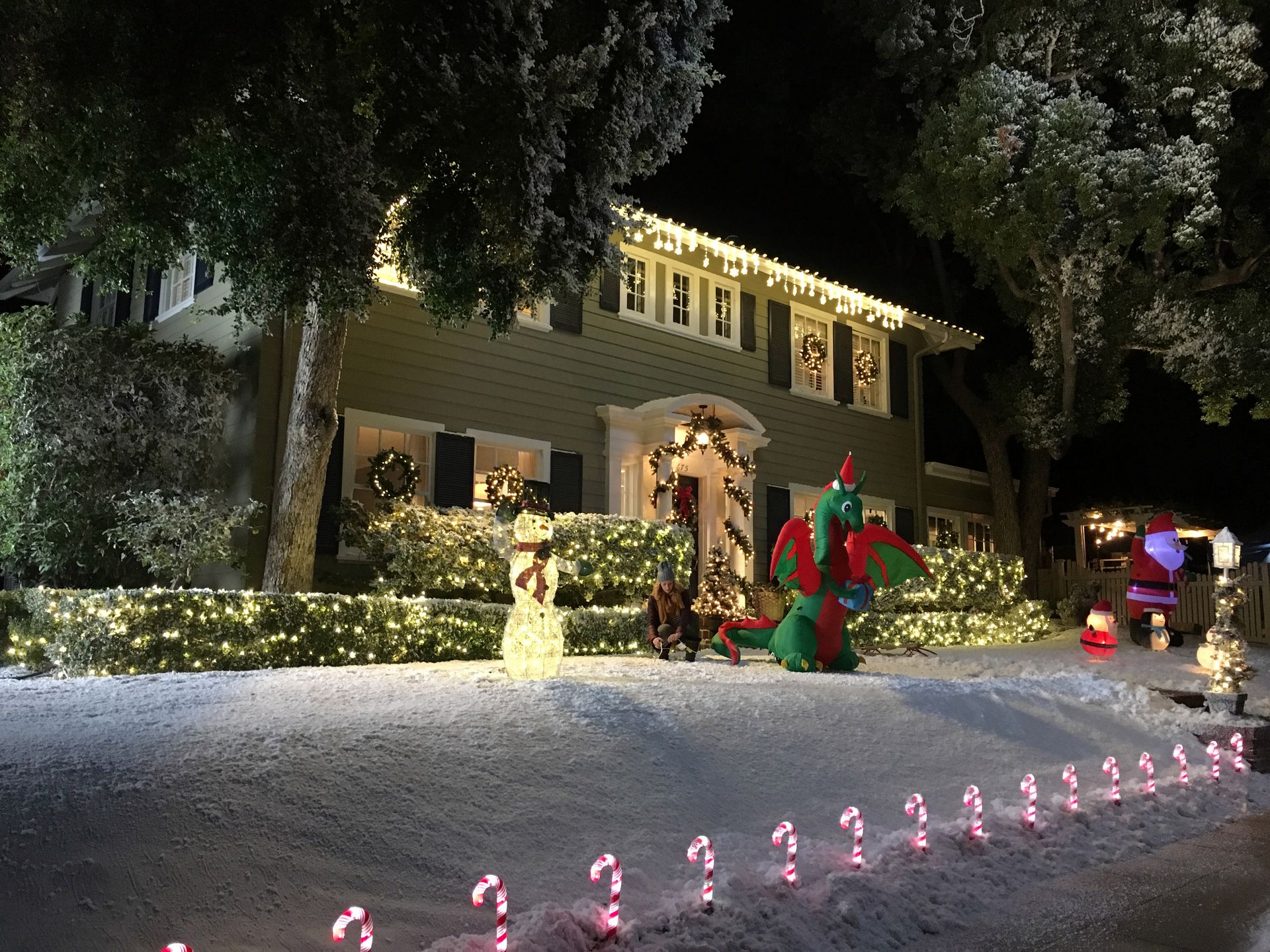 Snow Dressing | Canoga Park, CA | 818-884-3009