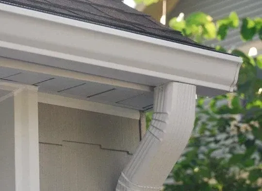 White house roof gutter and downspout under eaves, with green foliage nearby