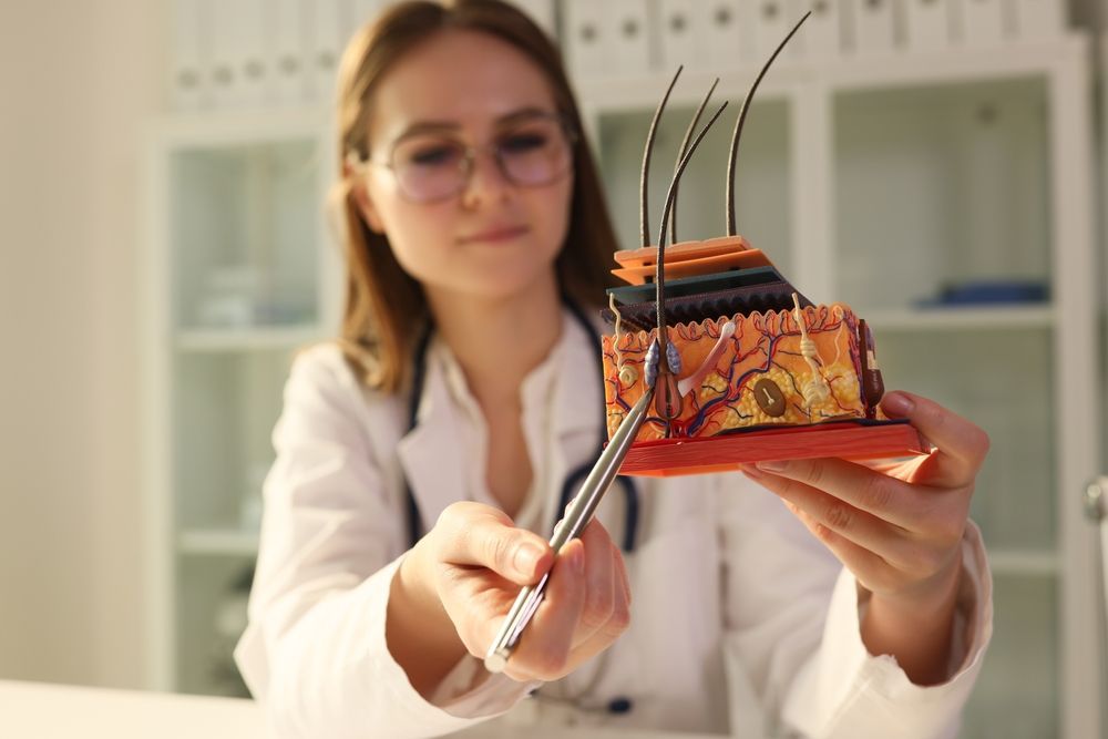 A medical professional in a lab coat points to a cross-section model of human skin with forceps in a clinical office.