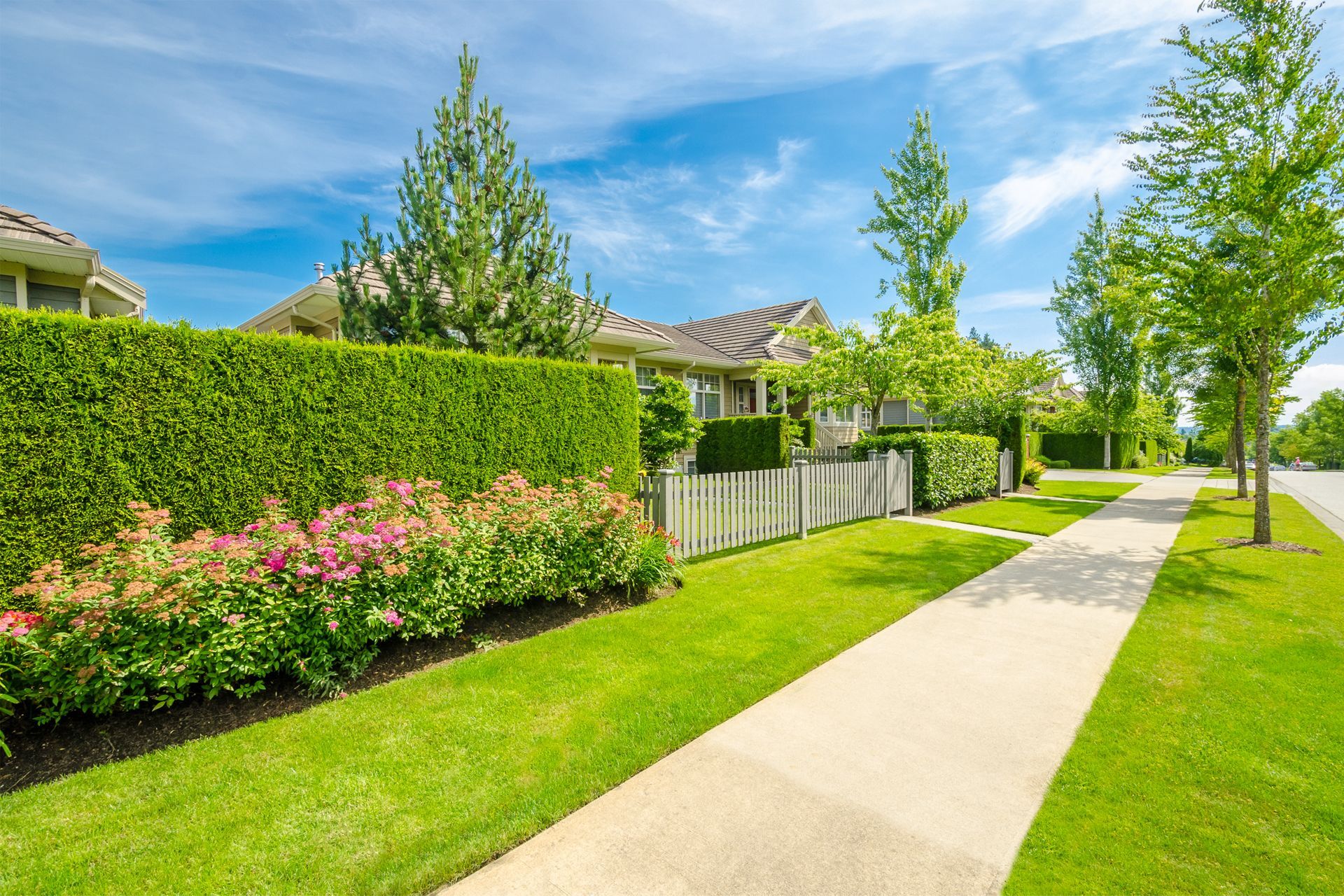 Residential Landscape