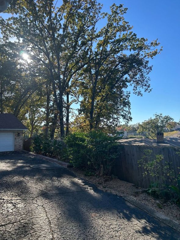 Sun shines through trees over a rocky landscape with a driveway, building on the left.
