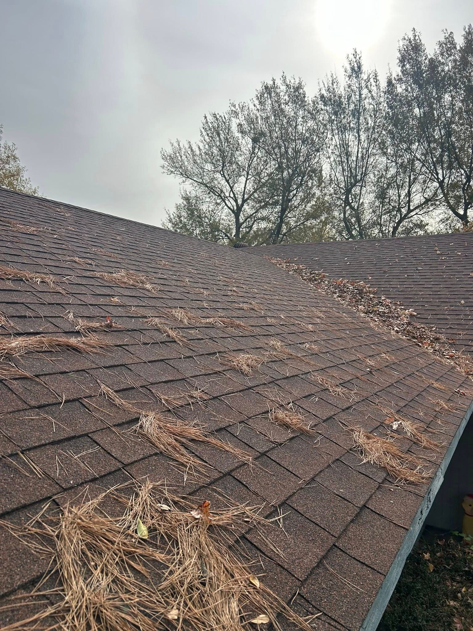 Dark brown asphalt shingle roof covered in dry leaves, with trees in background.