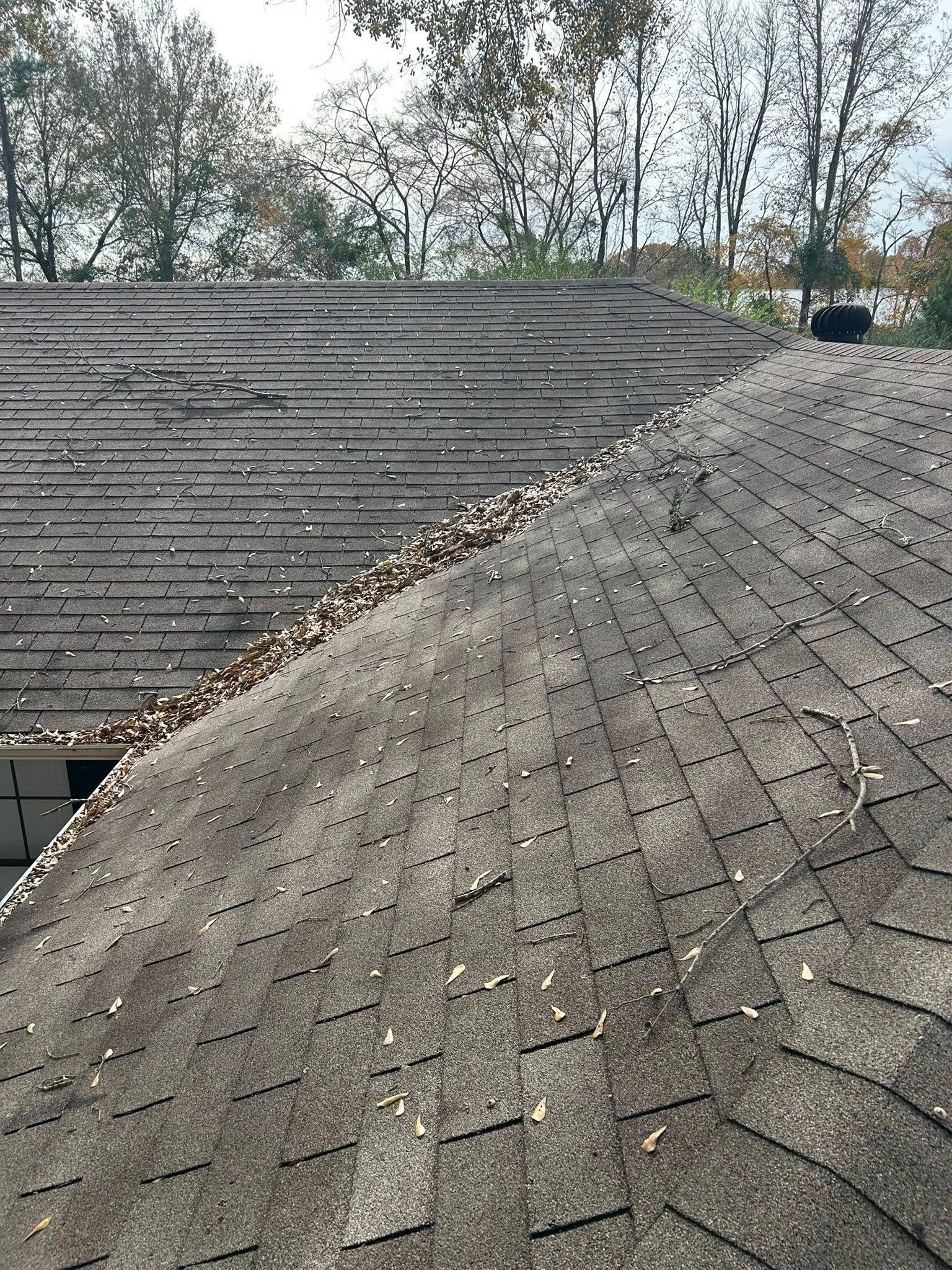 A dark gray asphalt shingle roof covered in leaves, viewed from above, on a sunny day.