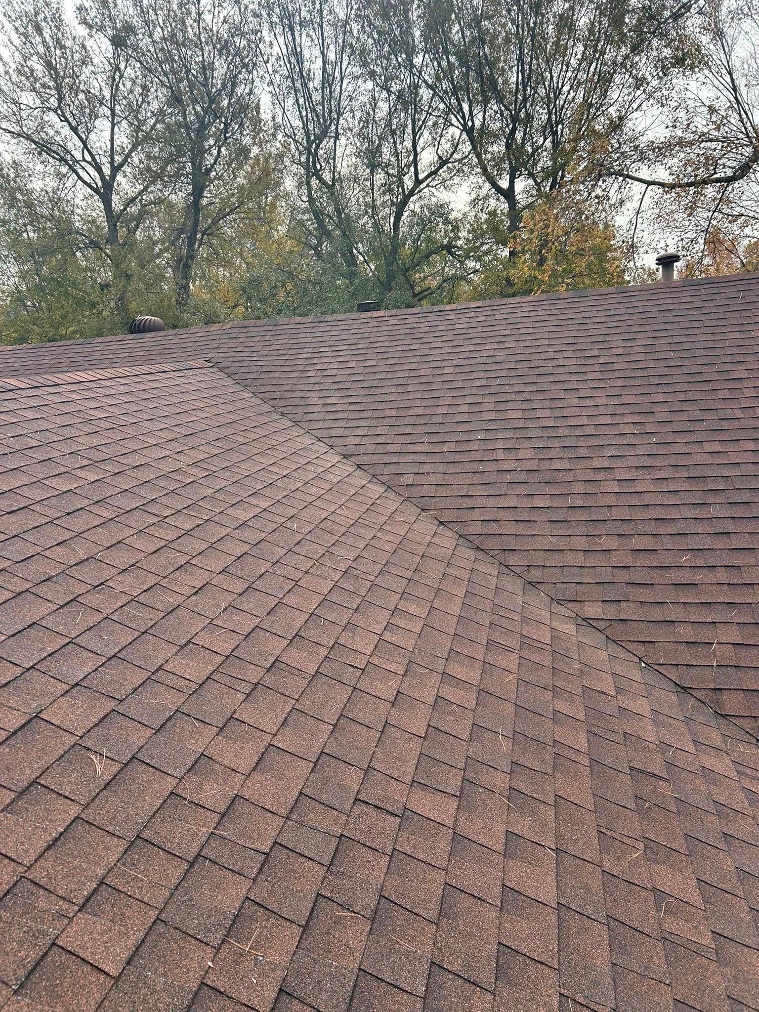 Close-up of brown shingle roof with visible seams, trees in the background, overcast sky.