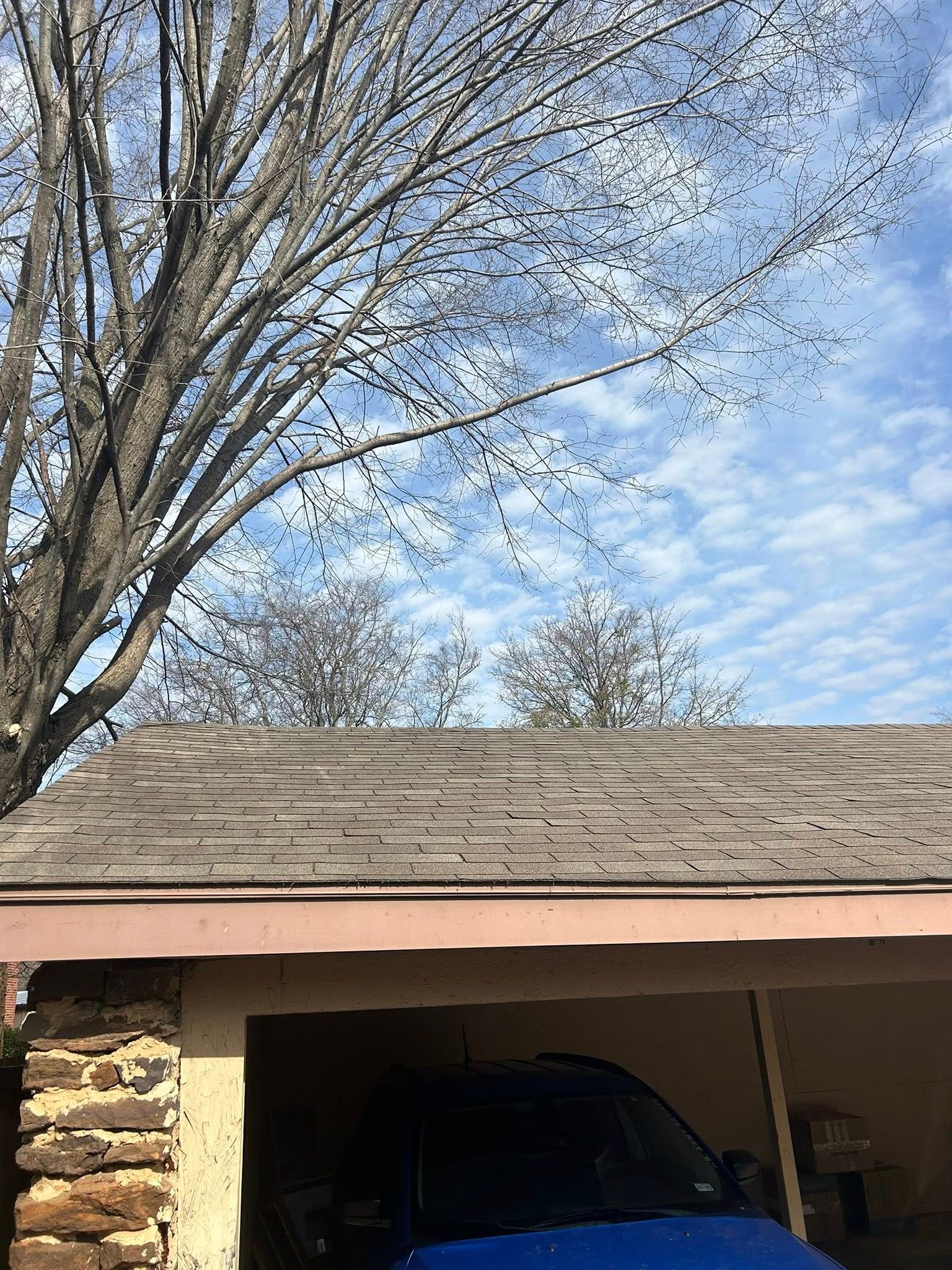 Garage roof under a tree with a blue sky dotted with clouds.