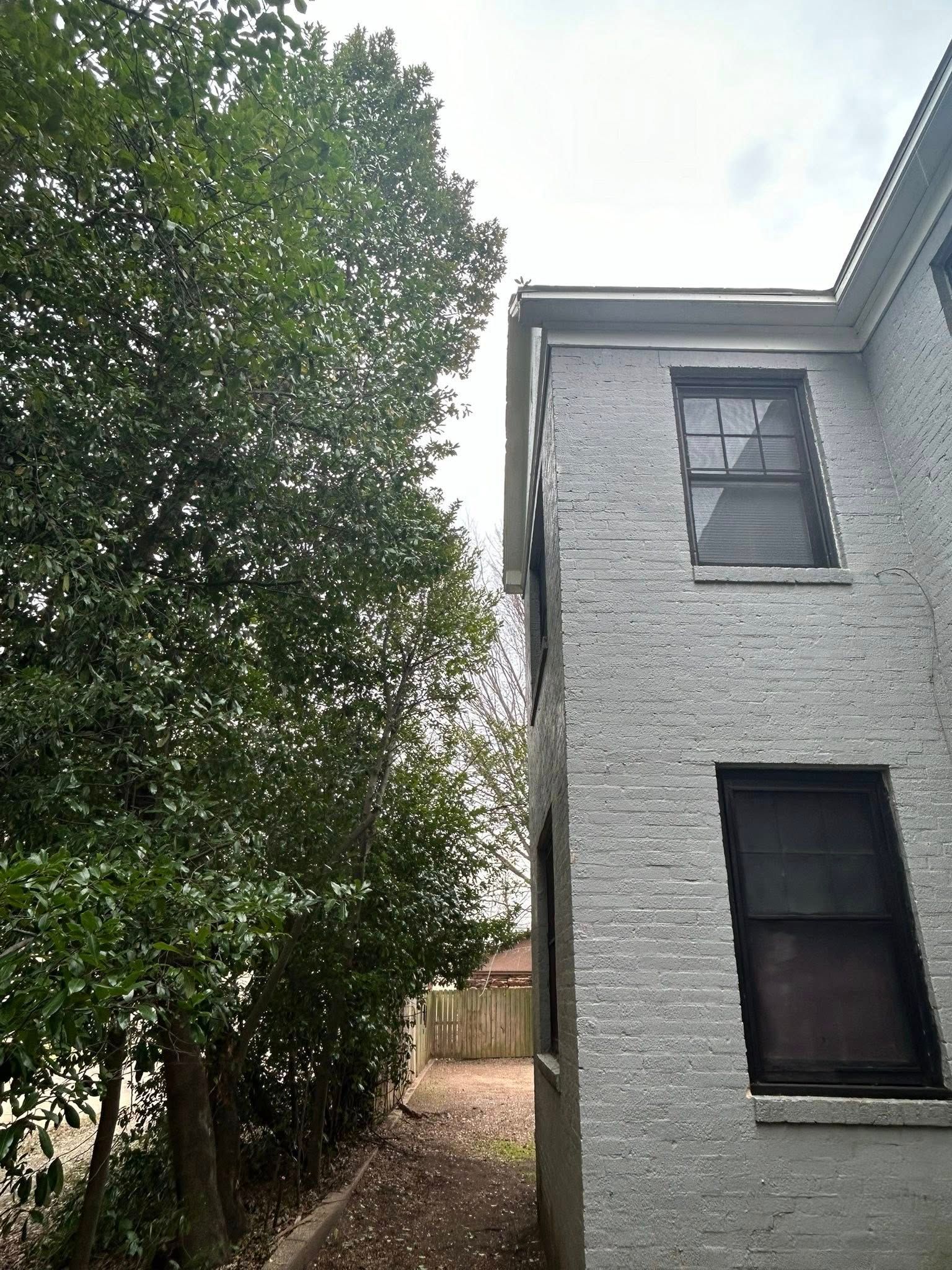 Side view of a light gray brick building next to a dense green tree. A narrow alley is visible.