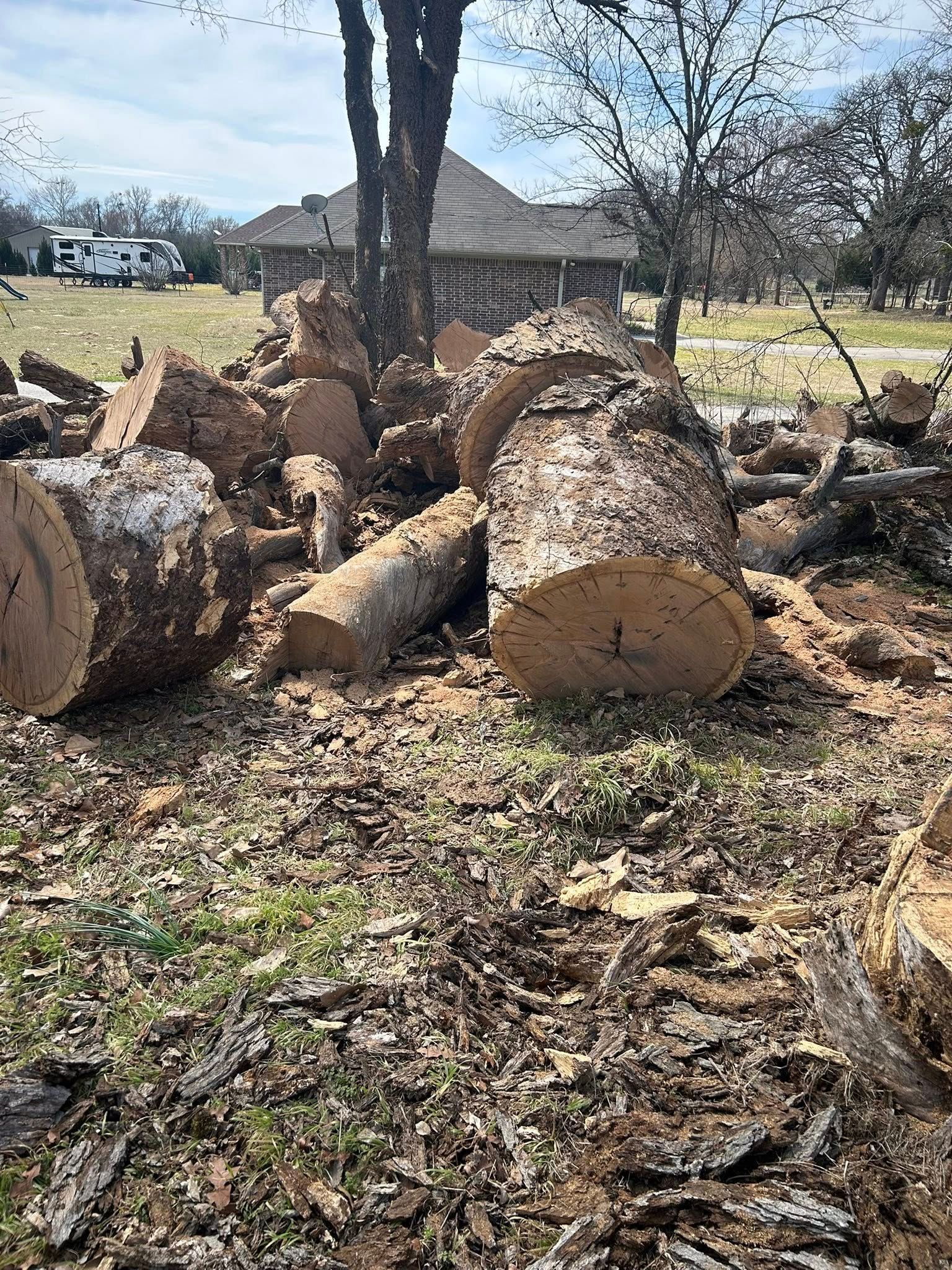 Cut tree logs on a grassy ground near a house.