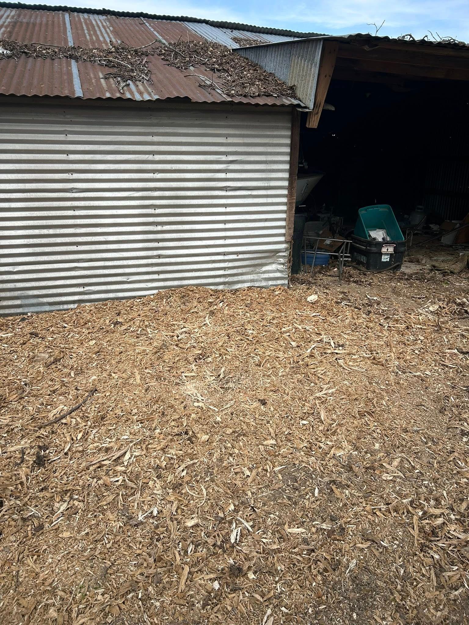 Corrugated metal building exterior with a roof covered in leaves and a large pile of leaves in the foreground.