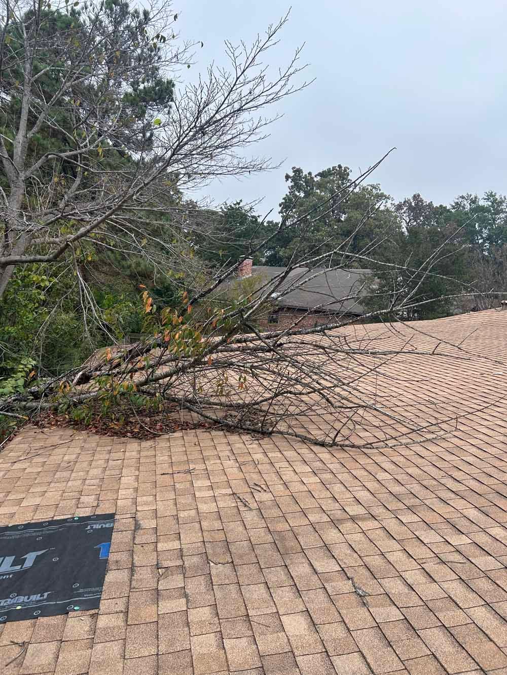 Tree branches fallen on a brown shingle roof, overcast sky.