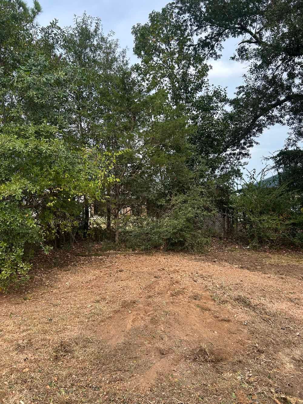 Brown dirt area with trees in the background under a cloudy sky.