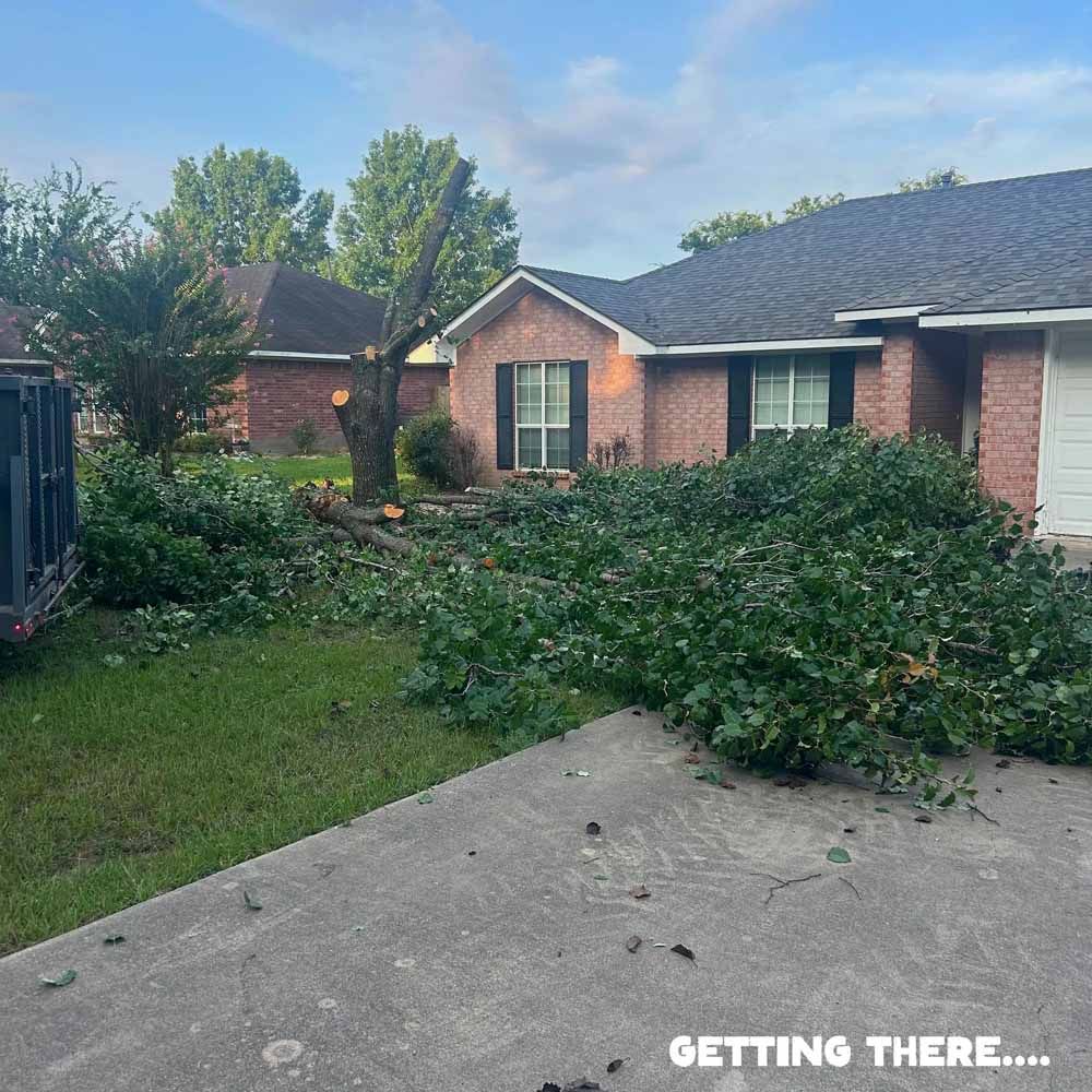 A home's yard with a recently trimmed tree stump surrounded by cut branches and a dark roof.
