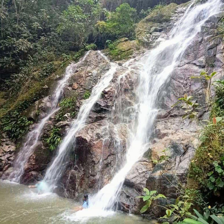 Una cascada cae sobre un terreno rocoso y forma una poza. Dos figuras nadan en el agua, rodeadas de exuberante vegetación.