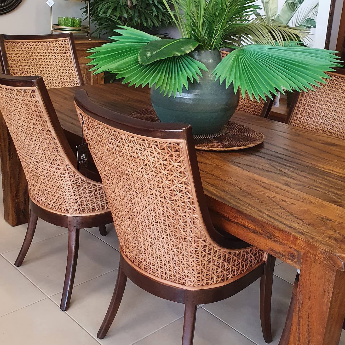 Wooden Dining Table With Woven Chairs and a Potted Green Plant Centerpiece — Tropic Living in Trinity Park, QLD