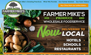 Farmer Mike’s Produce ad with fruits and vegetables, promoting wholesale food delivery to local businesses