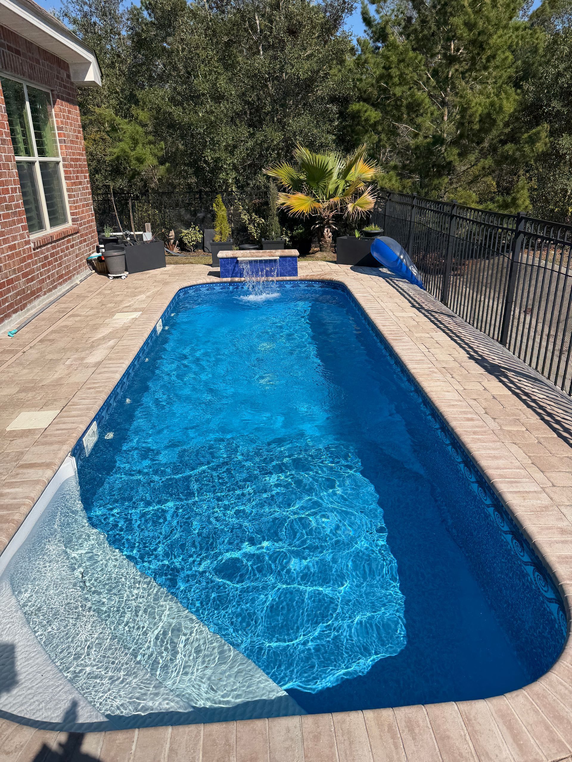 Rectangular pool with clear water, surrounded by purple concrete. Palm tree, backyard setting.