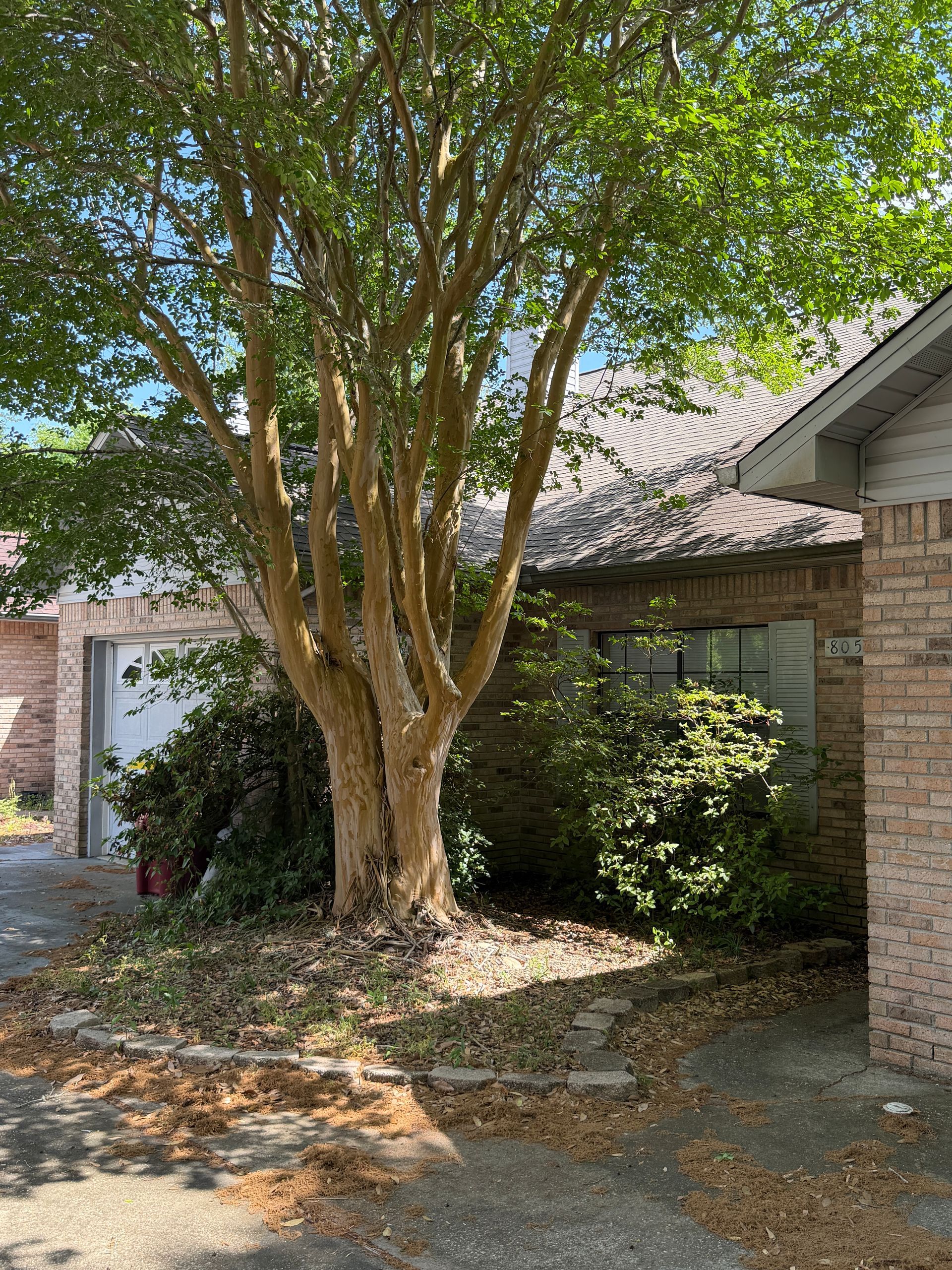 Concrete walkway leading to a house entrance with a garage door on the right. Green siding and brick accents.
