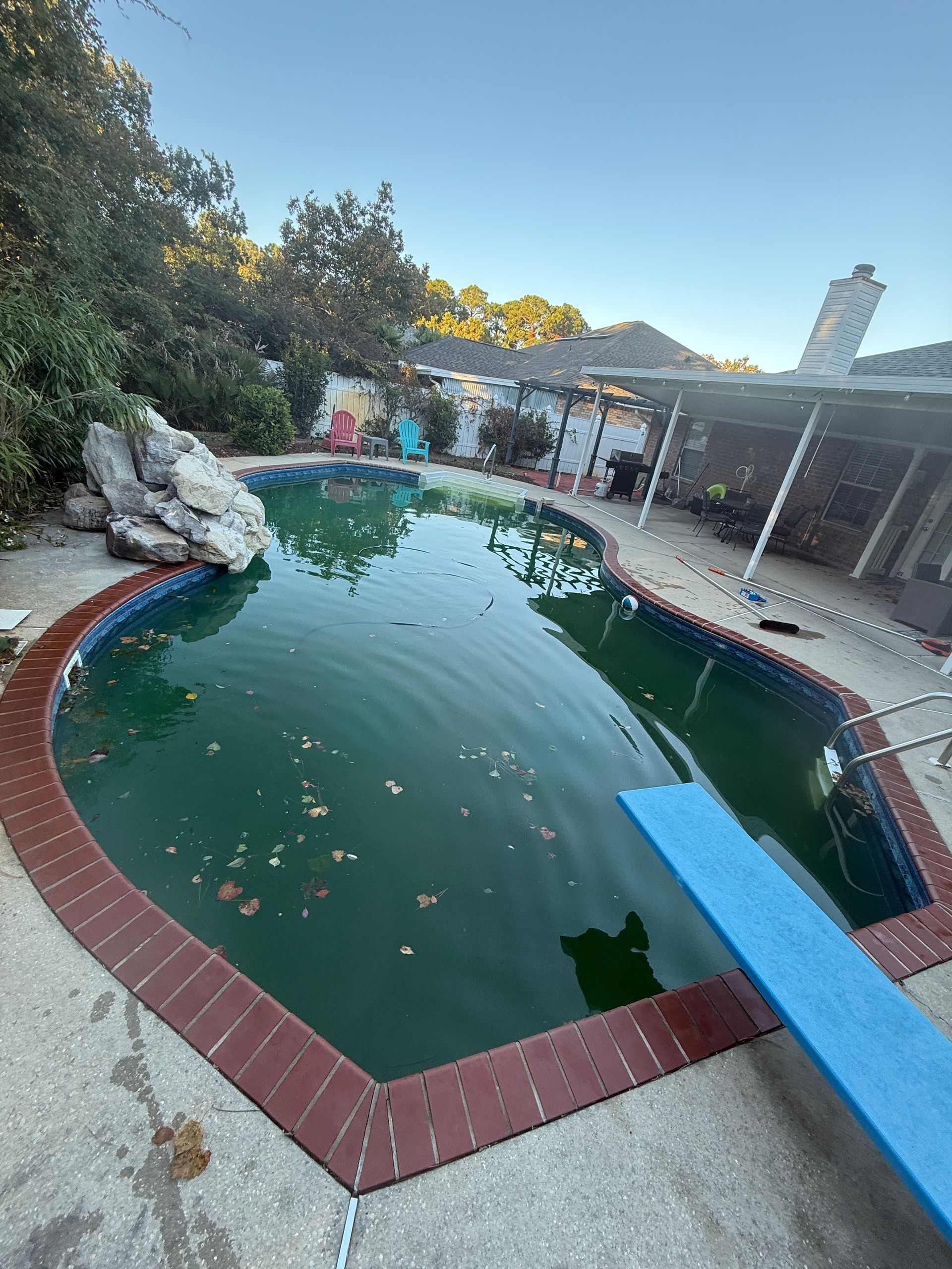 Green algae-filled swimming pool with diving board and surrounding concrete patio, with a brick border.