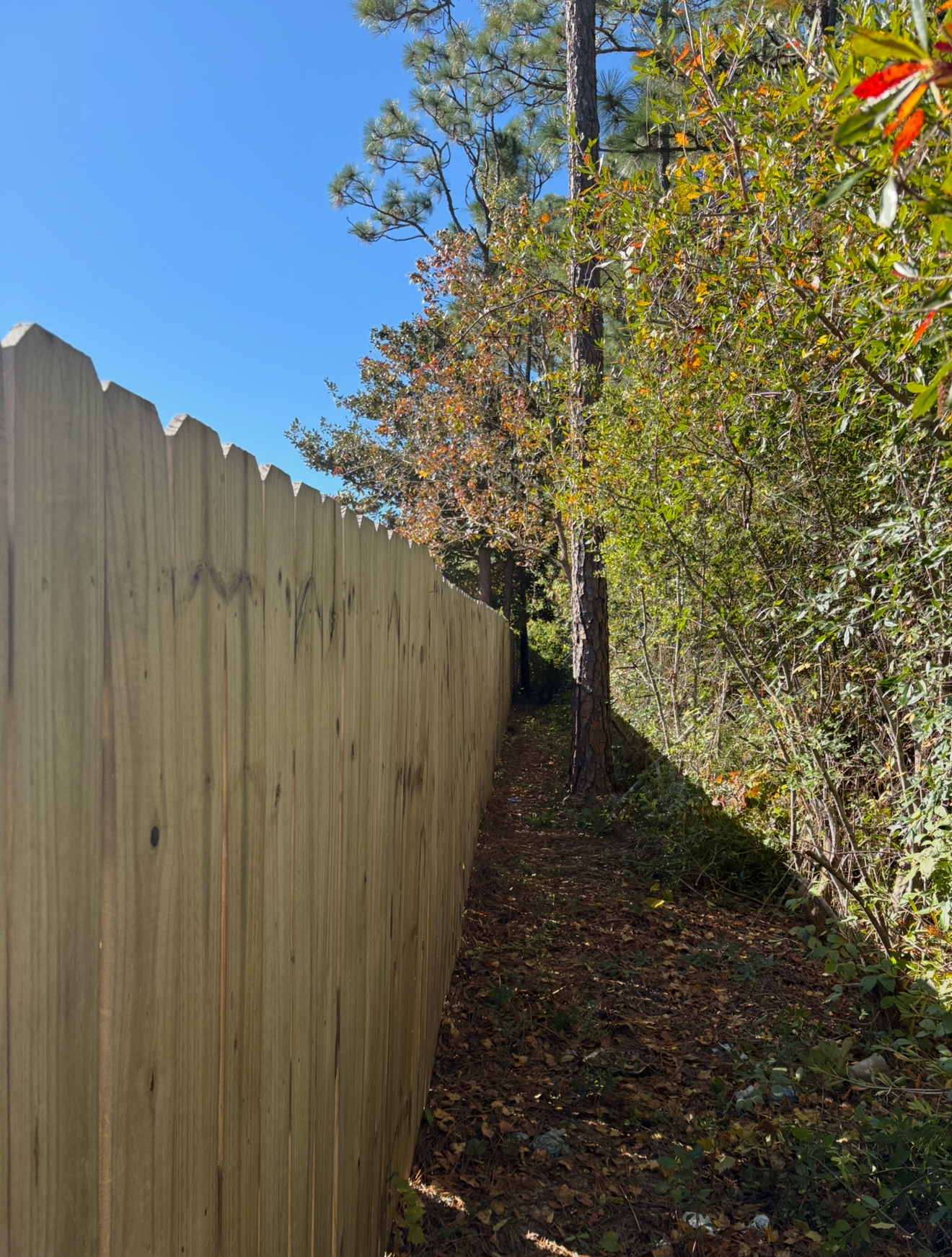 Wooden fence bordering a shaded area of trees and fallen leaves under a clear blue sky.