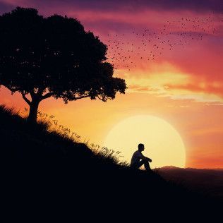 Silhouette of a person sitting under a tree, overlooking a sunset with birds flying in the sky.