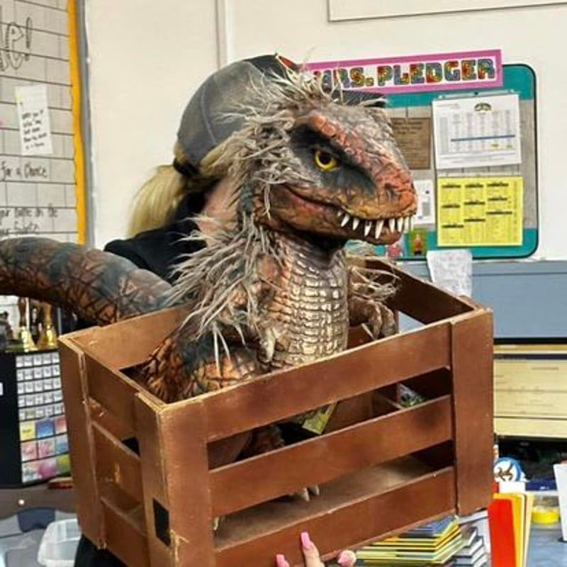 Toy dinosaur puppet in a wooden crate in a classroom, with a yellow-eyed, spiky head and tail visible.
