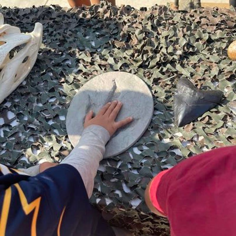 Hand touching a round white stone on a camouflage net with black cone-shaped objects nearby