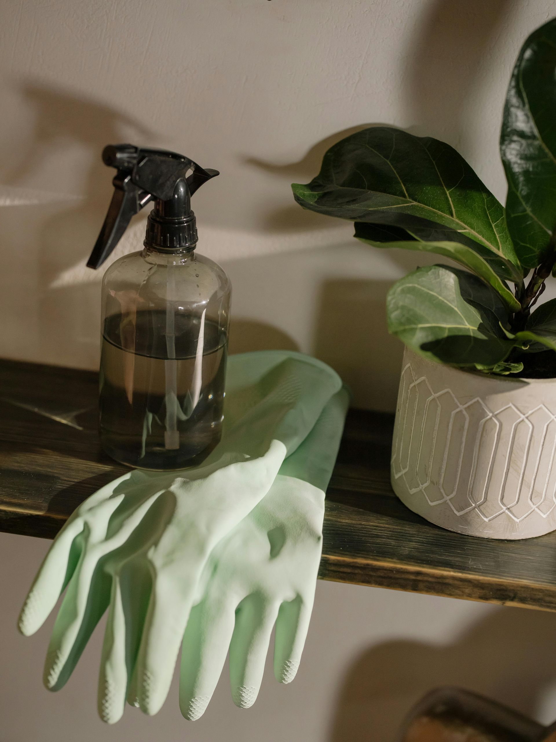natural cleaner