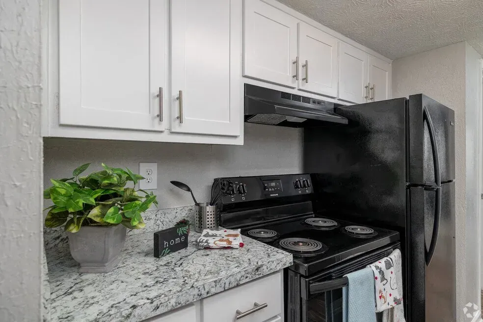Small kitchen with white cabinets, black stove and fridge, and a granite countertop with a potted plant.