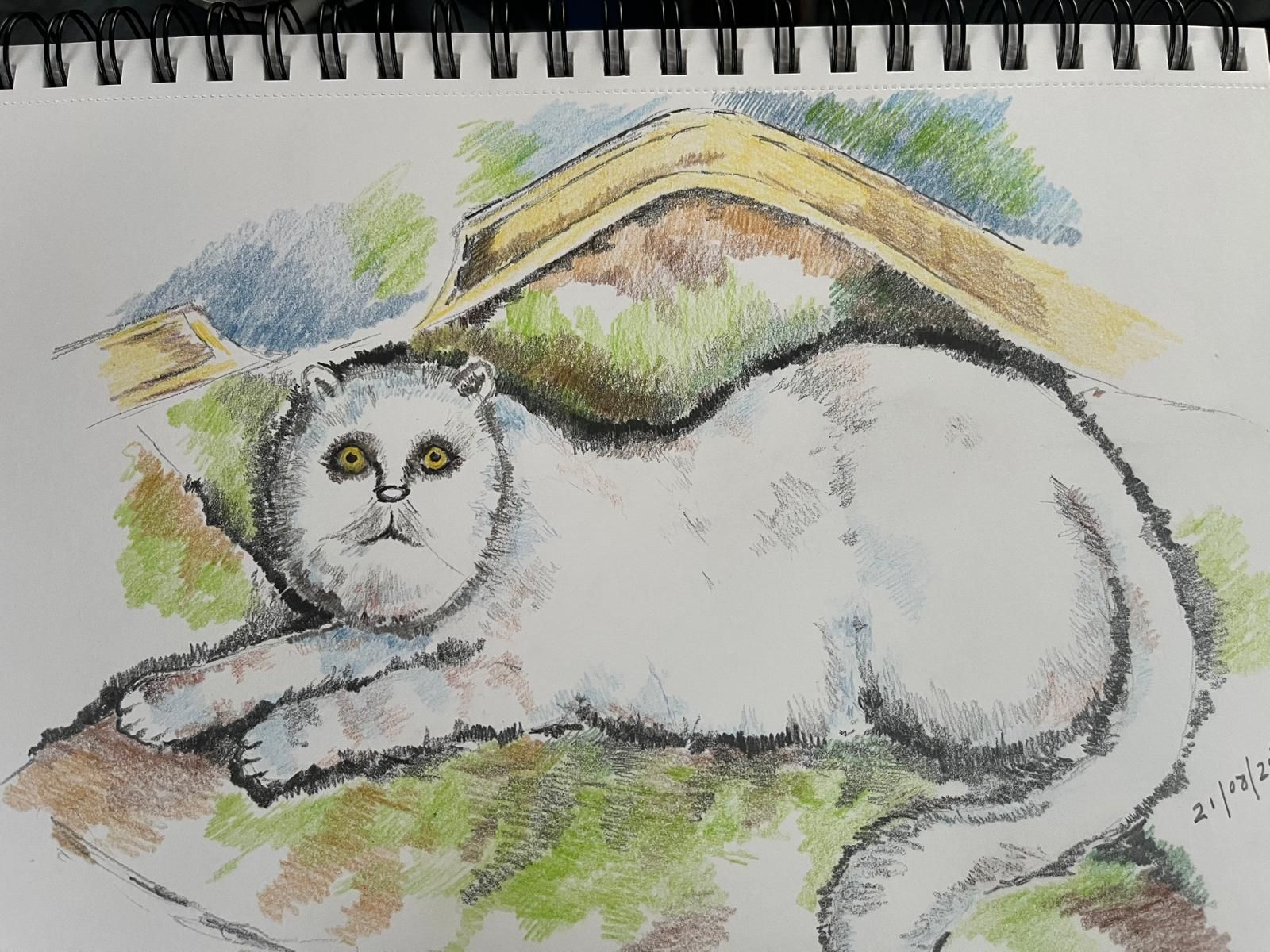 White cat lying on grass beneath a curved branch, drawn in colored pencil.