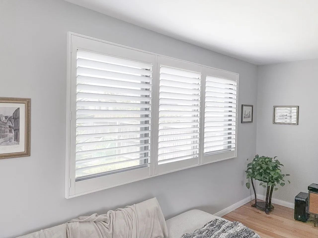 A Living Room with A Couch and A Window with White Shutters — Phoenix Blinds In Albion Park Rail, NSW