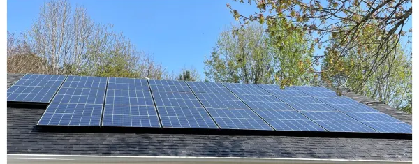 Solar panels on a roof against a blue sky with tree branches in the background.