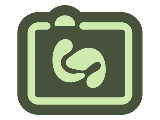 alt green - IS Photobooth logo