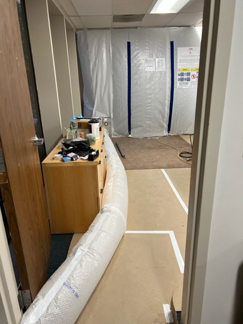 general contractor