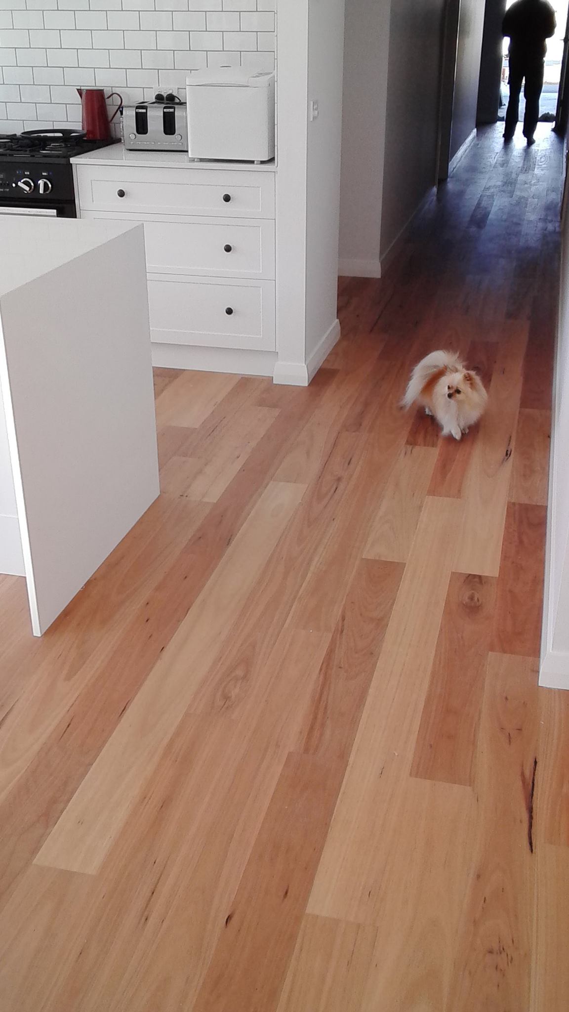Floorstyle Ulladulla Image