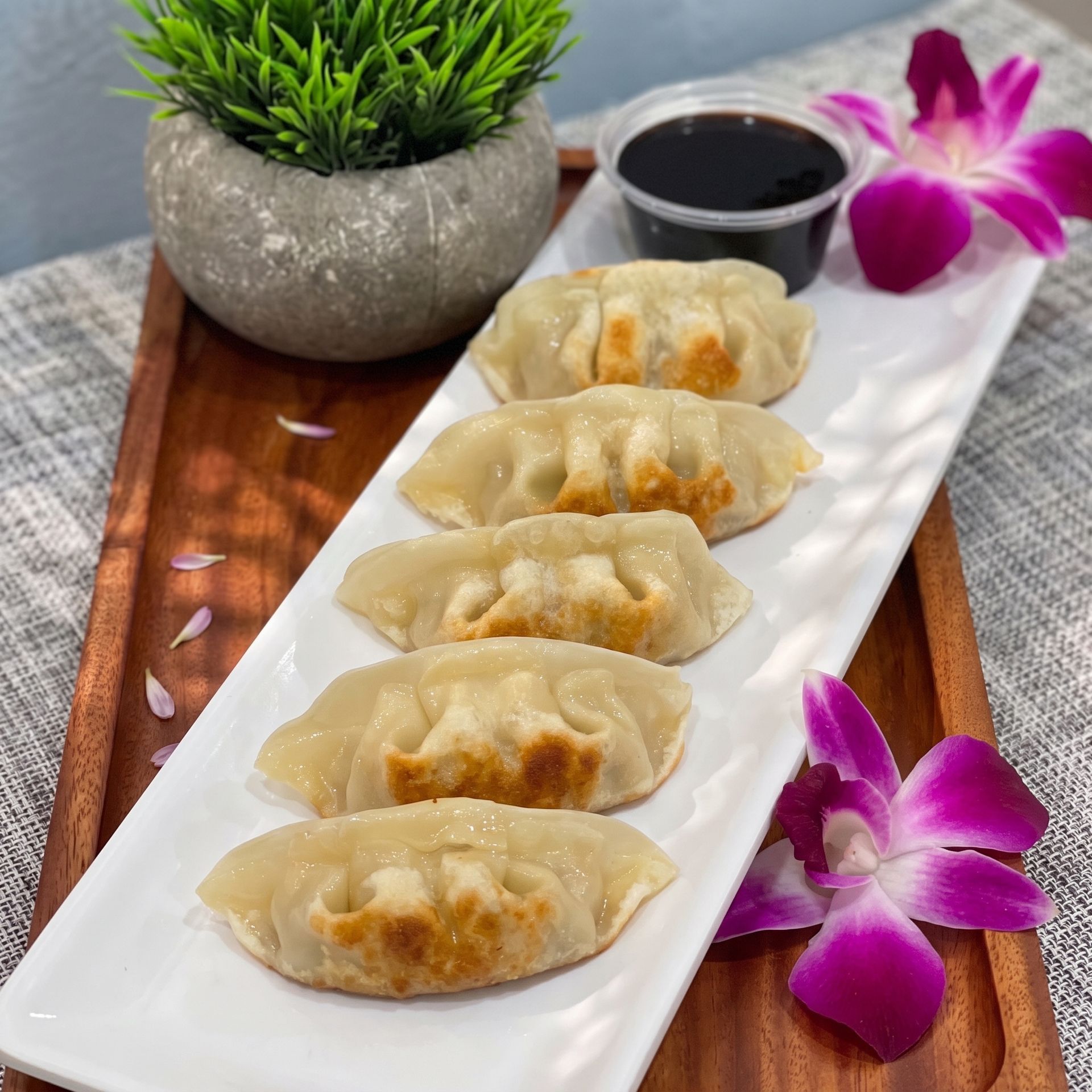 Four steamed dumplings on a white plate with soy sauce, a potted plant, and purple flowers