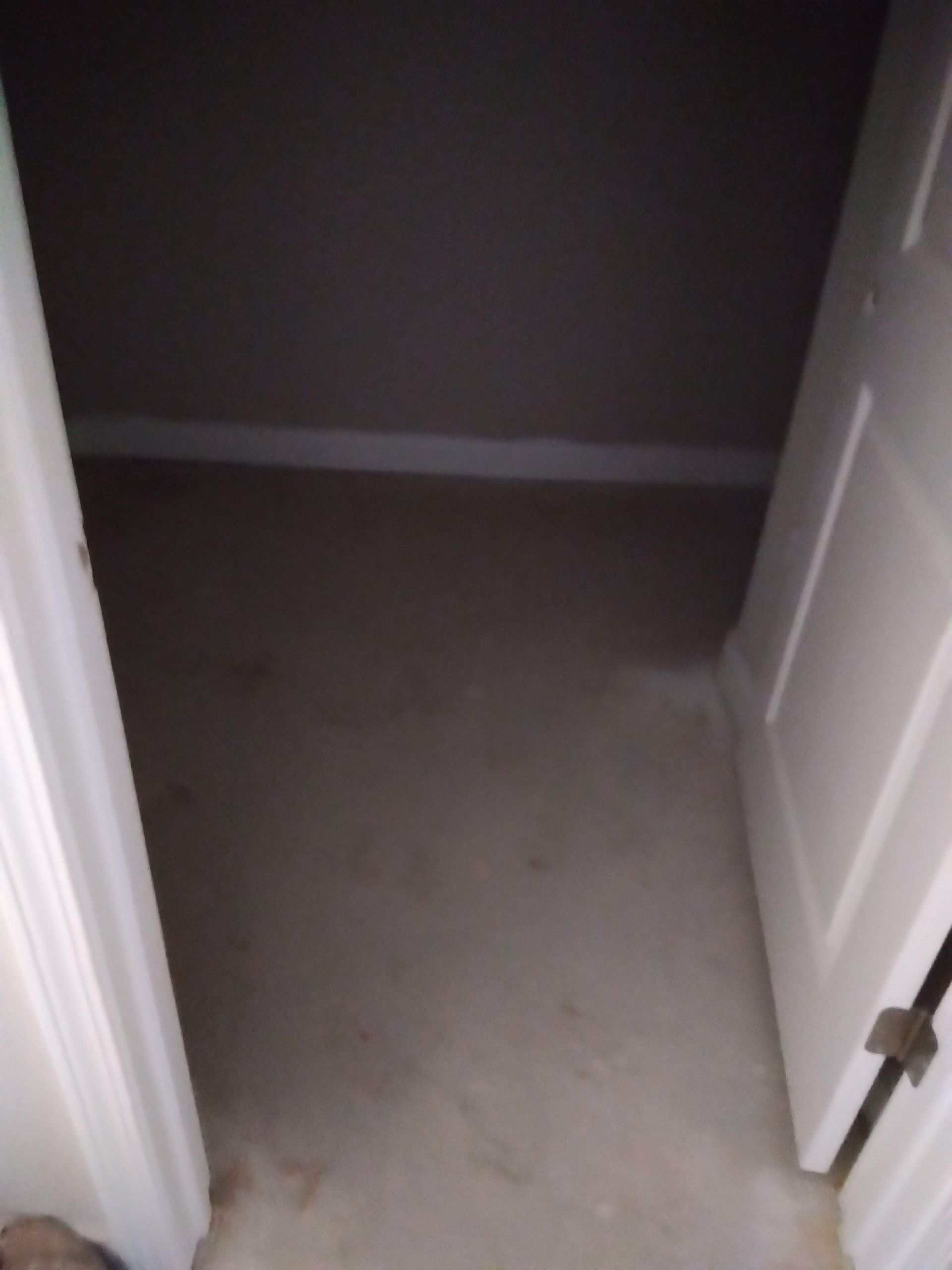 Empty carpeted closet or small room with a white door open on the right.
