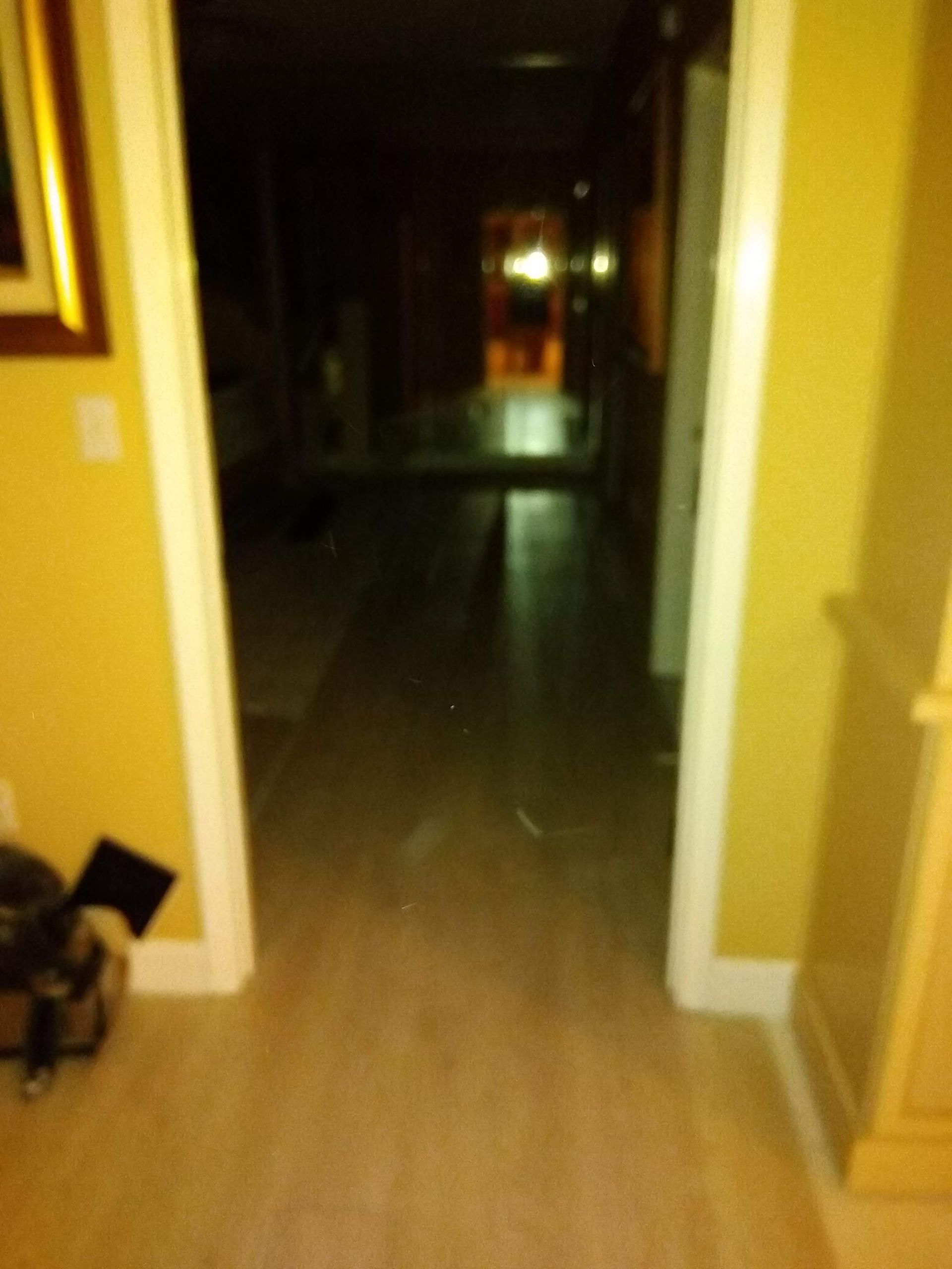 Dim hallway with wood flooring and yellow walls leading to a dark doorway.